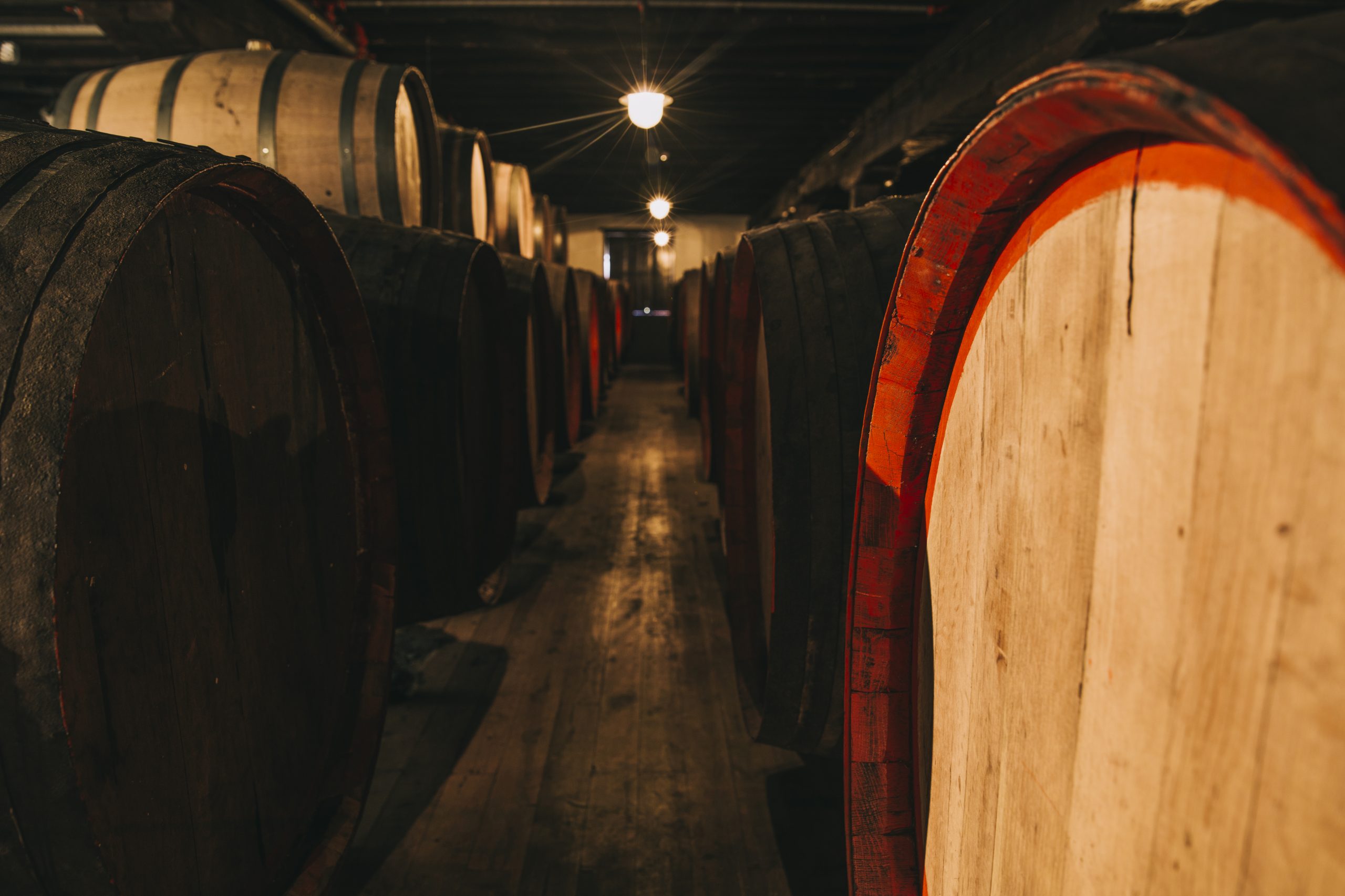 Wine in wooden barrels stored for aging in the cellar